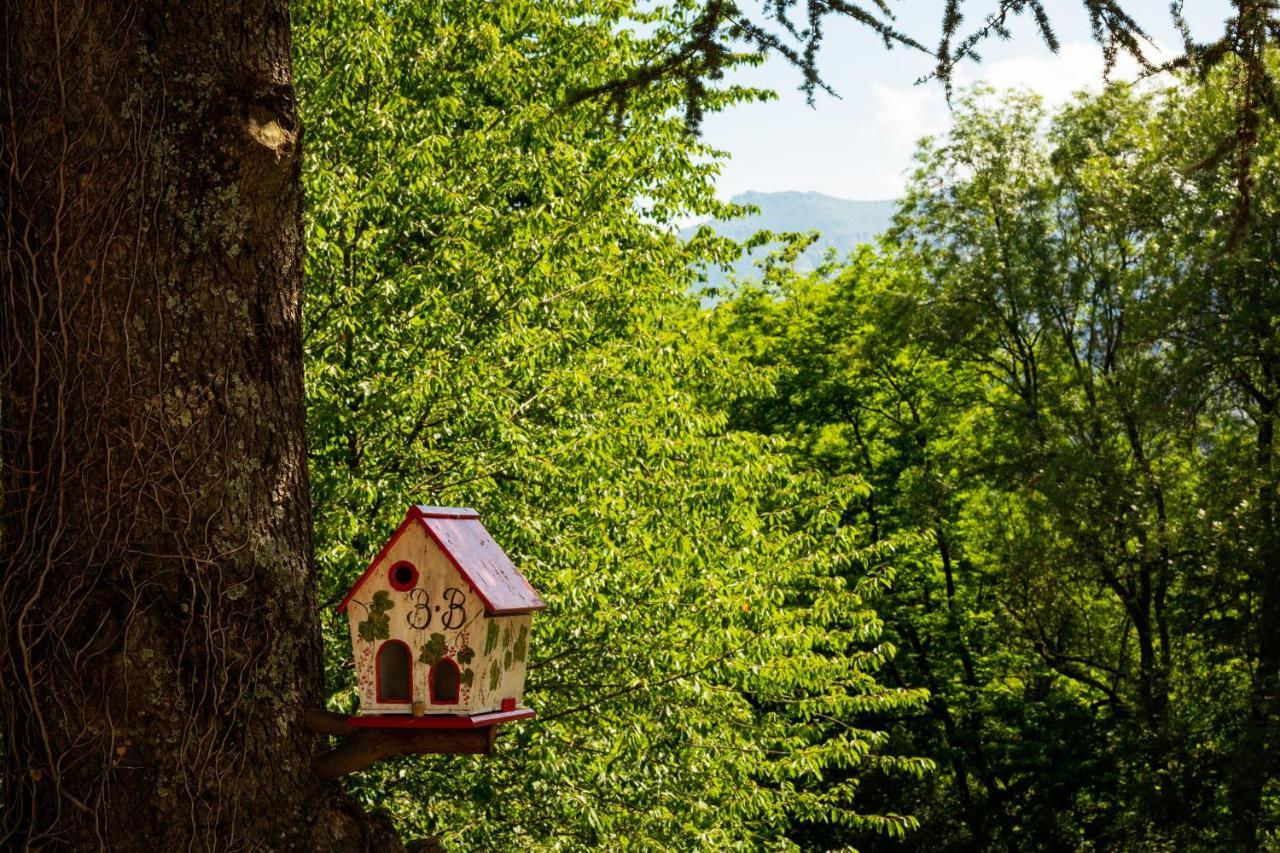 La Demeure Aux Pins Bed & Breakfast Lourdes Exterior photo